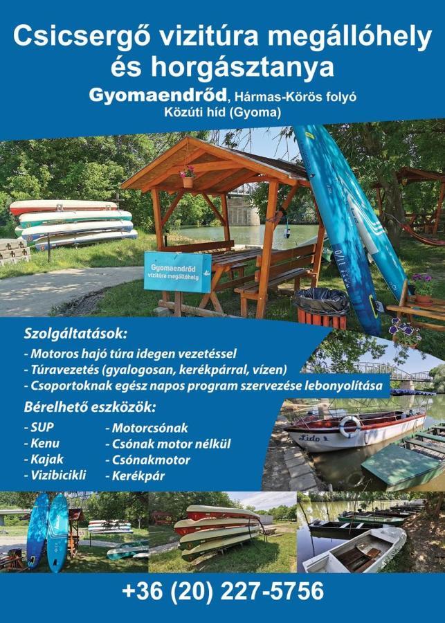 Villa Zsuzsanna Gyomaendrőd Esterno foto