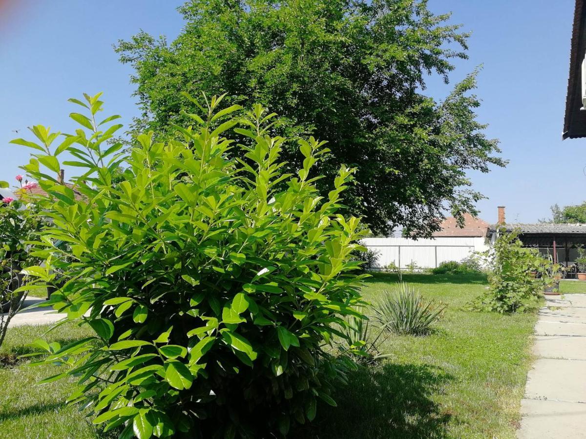 Villa Zsuzsanna Gyomaendrőd Esterno foto