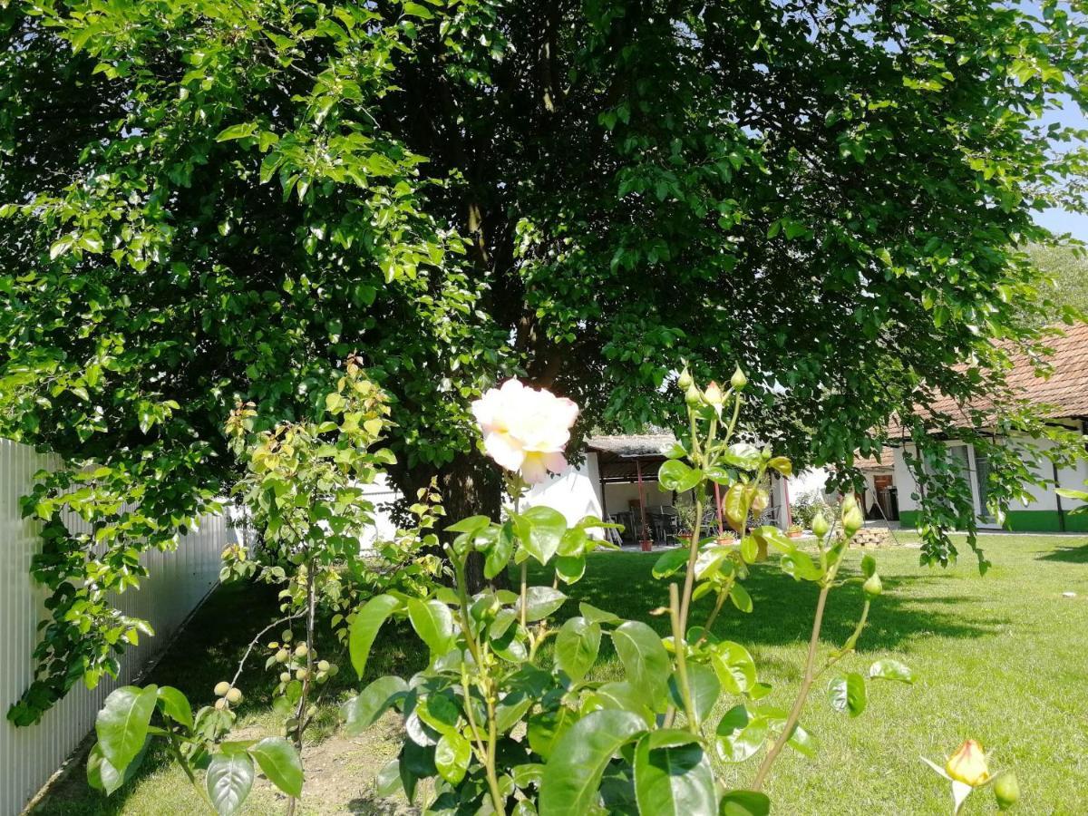 Villa Zsuzsanna Gyomaendrőd Esterno foto